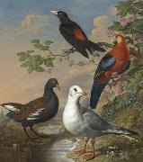 Philip Reinagle A Moorhen, A Gull, A Scarlet Macaw and Red-Rumped A Cacique By a Stream in a Landscape Germany oil painting artist